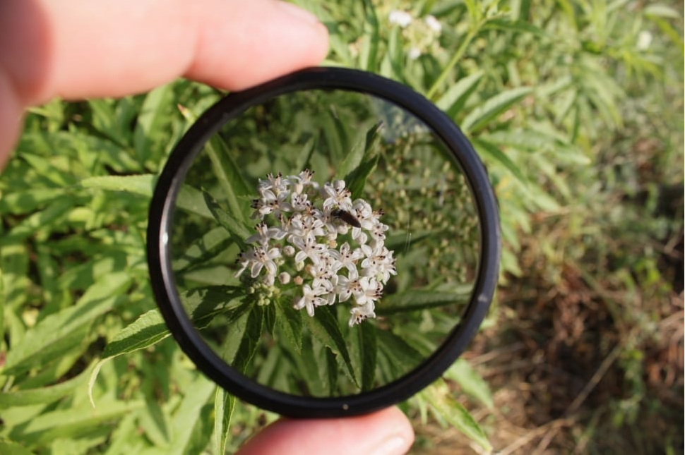 camera-polarizer-lens